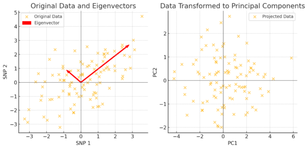 Eigenvectors to pca plot example