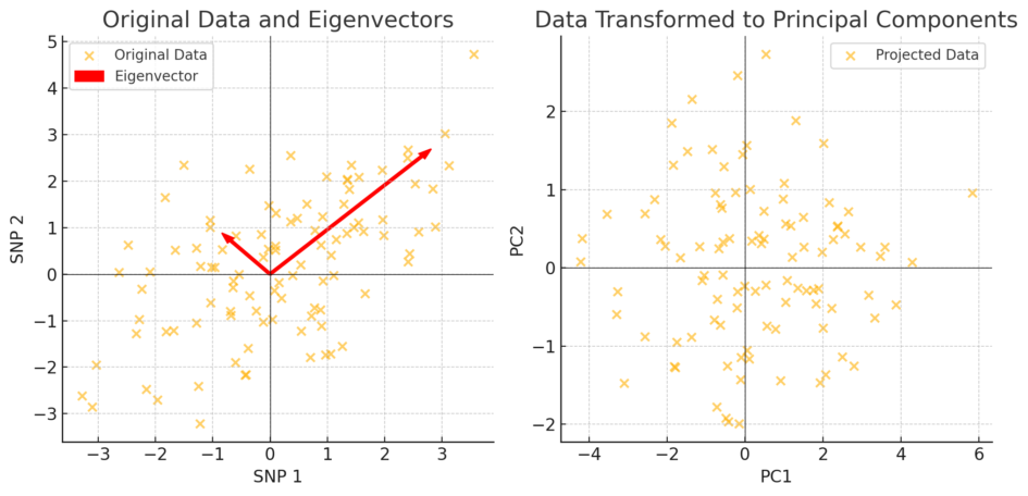 Eigenvectors to pca plot example